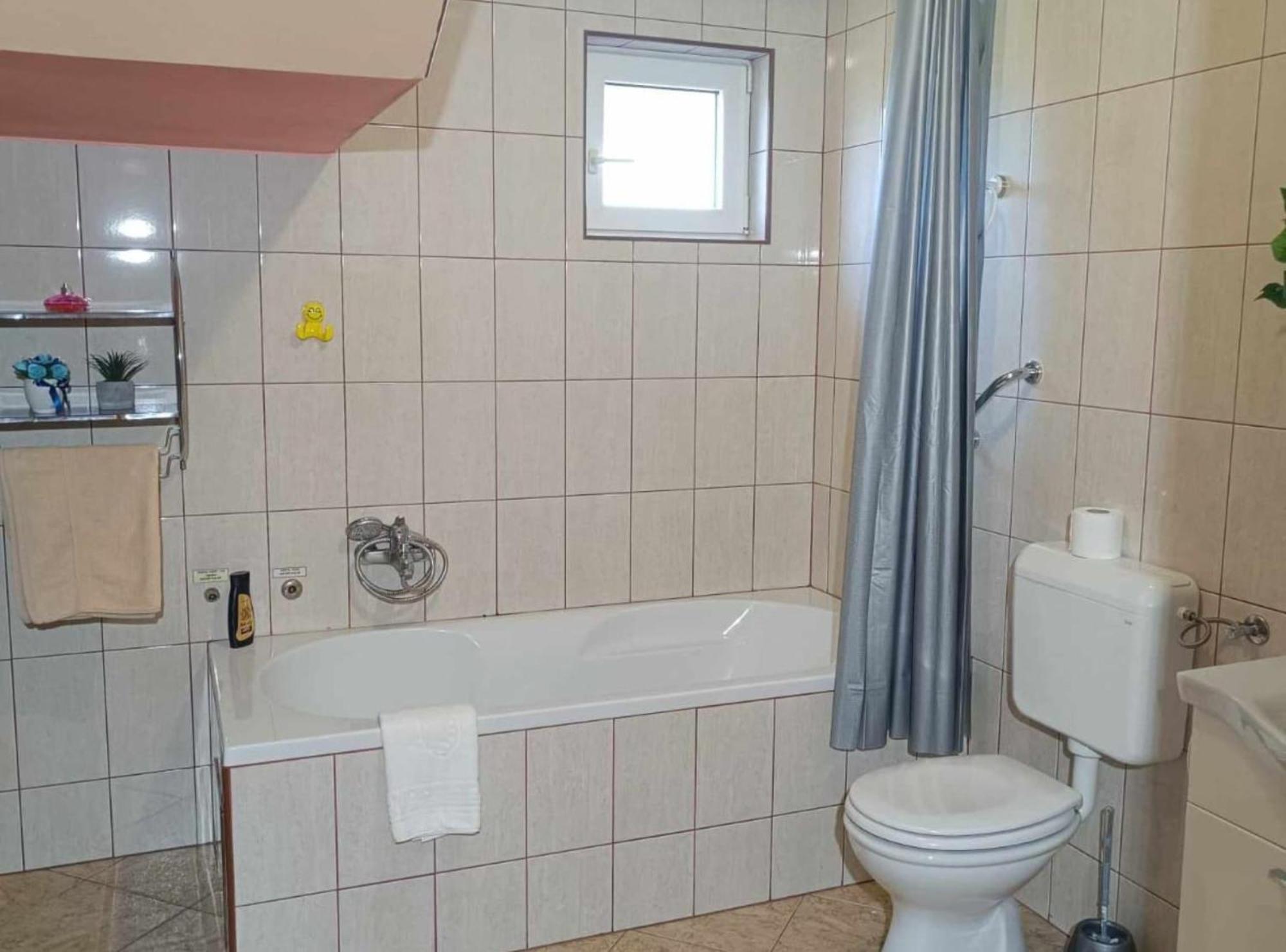 Apartman TEA Gradiste Bagian luar foto