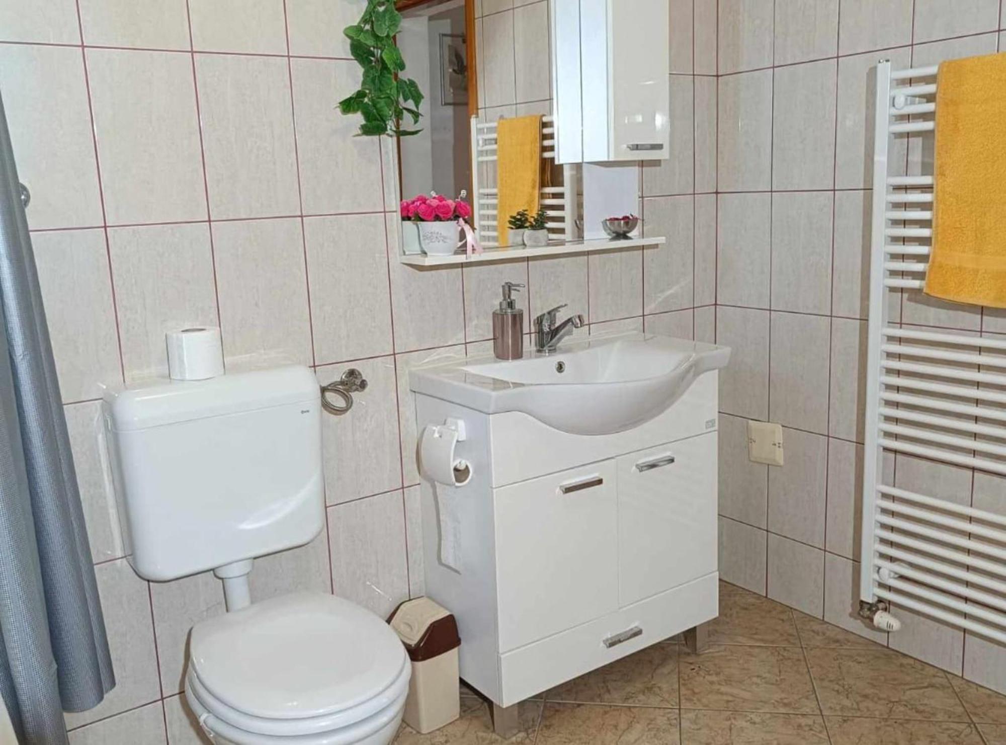 Apartman TEA Gradiste Bagian luar foto